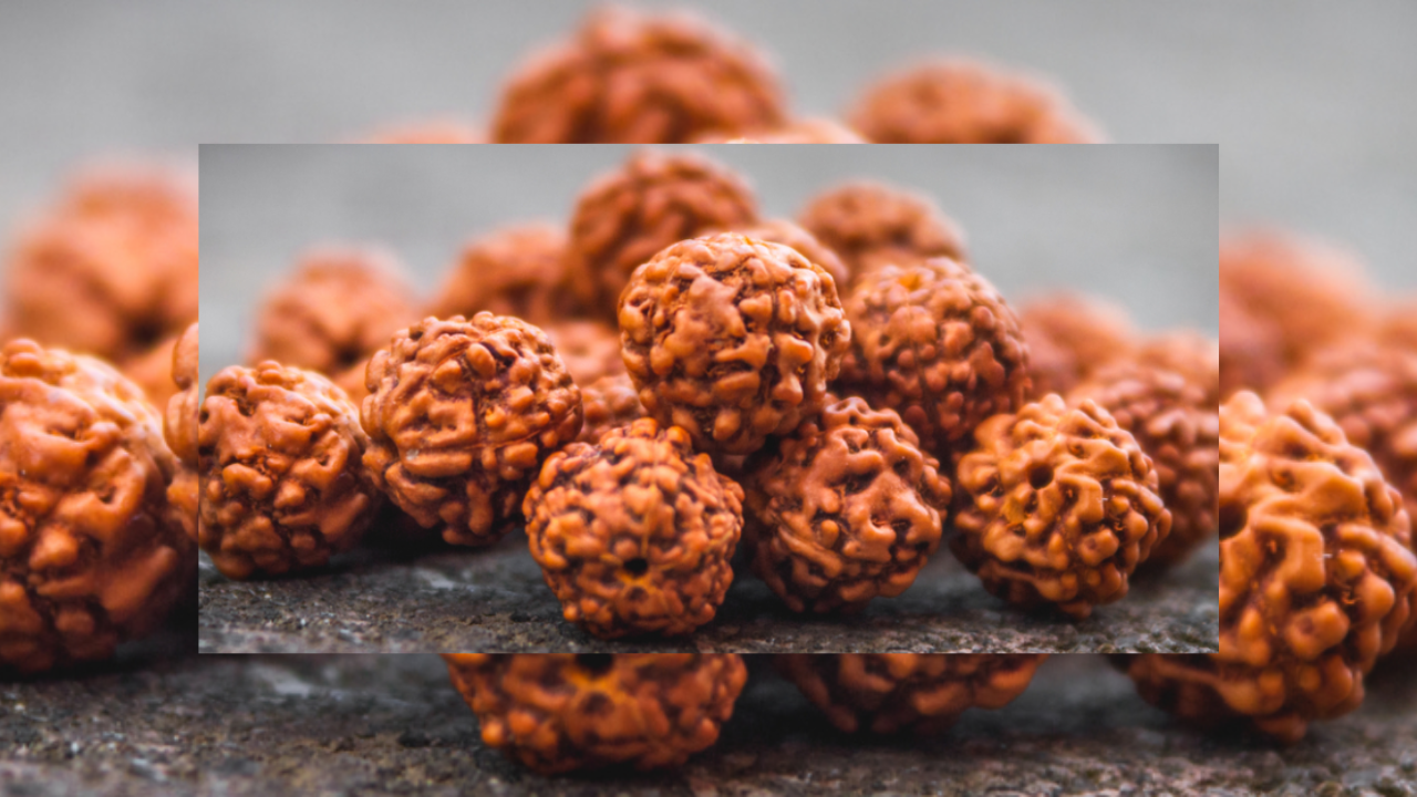 Unlock The Benefits Of Wearing Mukhi Rudraksha Sohago