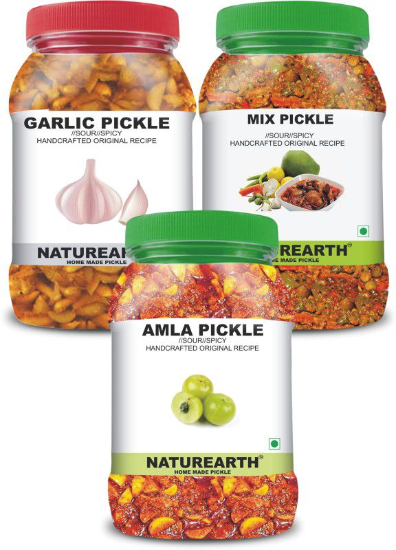 NaturEarth 100% Natural Amla , Garlic & Mix Pickle(600 g) Primium Quality Achar Mixed Pickle  (3 x 200 g)