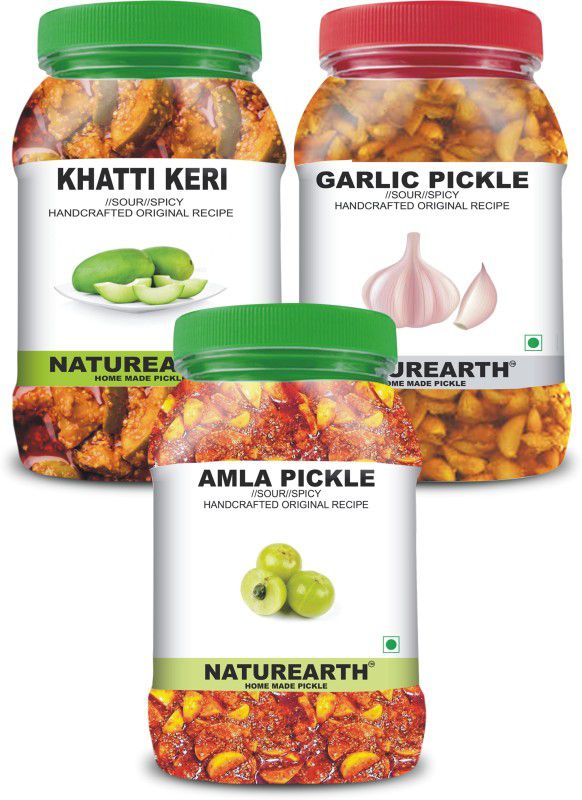 NaturEarth 100% Natural Amla , Khatti Keri & Garlic Pickle(600 g) Primium Quality Achar Mixed Pickle  (3 x 200 g)