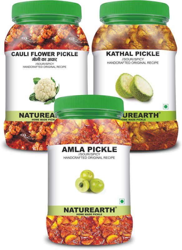 NaturEarth 100% Natural Amla , Gobhi & kathal Pickle(600 g) Primium Quality Achar Mixed Pickle  (3 x 200 g)