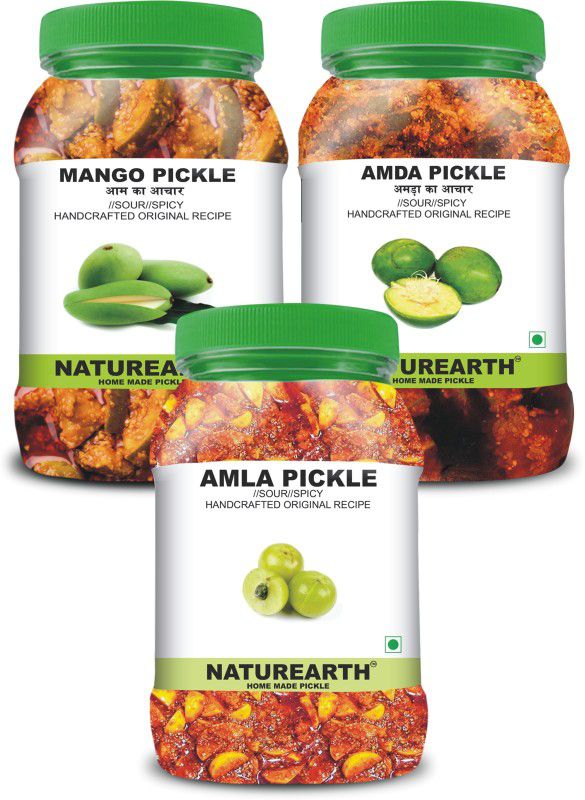 NaturEarth 100% Natural Amla , Mango & Amda Pickle(600 g) Primium Quality Achar Mixed Pickle  (3 x 200 g)