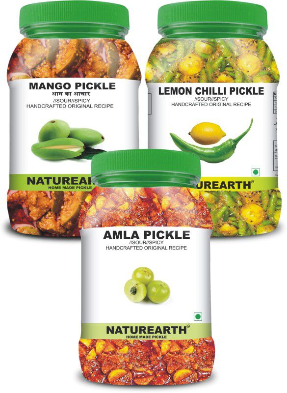NaturEarth 100% Natural Amla , Mango & Lemon chilli Pickle(600 g) Primium Quality Achar Mixed Pickle  (3 x 200 g)