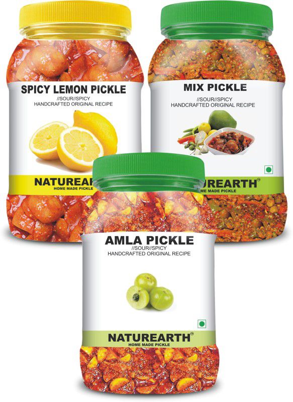 NaturEarth 100% Natural Amla , Spicy Lemon & Mix Pickle(600 g) Primium Quality Achar Mixed Pickle  (3 x 200 g)