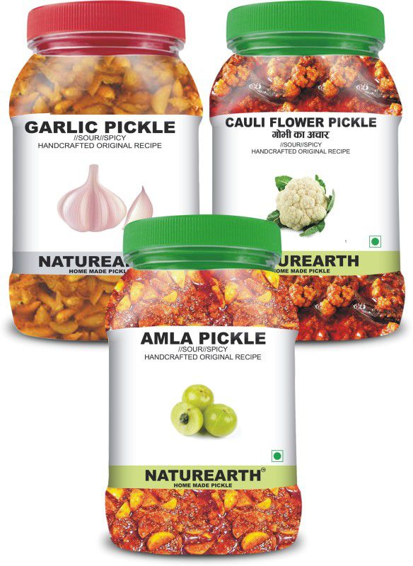 NaturEarth 100% Natural Amla , Garlic & Gobhi Pickle(600 g) Primium Quality Achar Mixed Pickle  (3 x 200 g)
