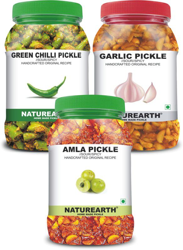 NaturEarth 100% Natural Amla , Green Chilli & Garlic Pickle(600 g) Primium Quality Achar Mixed Pickle  (3 x 200 g)