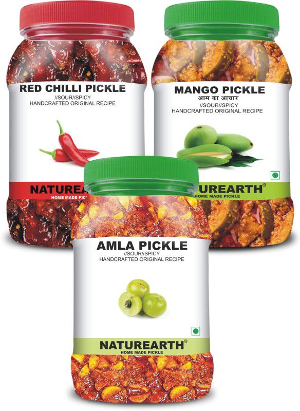 NaturEarth 100% Natural Amla , Red Chilli & Mango Pickle(600 g) Primium Quality Achar Mixed Pickle  (3 x 200 g)
