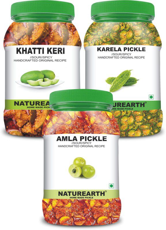 NaturEarth 100% Natural Amla , Khatti Keri & Karela Pickle(600 g) Primium Quality Achar Mixed Pickle  (3 x 200 g)