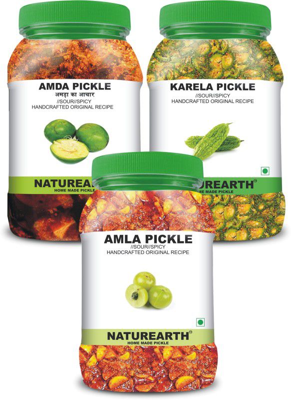 NaturEarth 100% Natural Amla,Amda & Karela Pickle(600 g) Primium Quality Achar Mixed Pickle  (3 x 200 g)