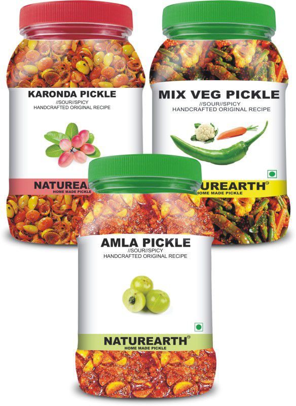 NaturEarth 100% Natural Amla , Karondha & Mix-Veg Pickle(600 g) Primium Quality Achar Mixed Pickle  (3 x 200 g)