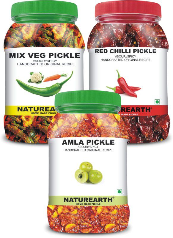 NaturEarth 100% Natural Amla , Mix-Veg & Red chilli Pickle(600 g) Primium Quality Achar Mixed Pickle  (3 x 200 g)