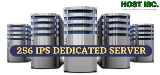 Dedicated Server: Uses and Benefits