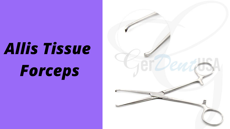 Allis Tissue Forceps: All You Need to Know