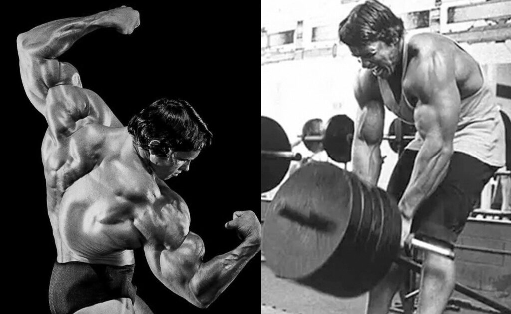Arnold Schwarzenegger’s Back Workout | A Comprehensive Guide