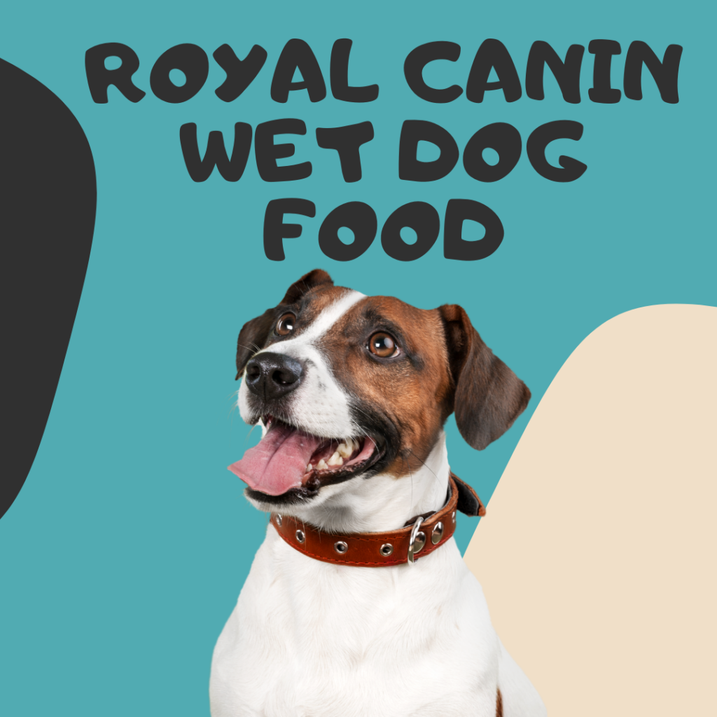 Royal Canin Wet Dog Food