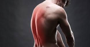 What are some back pain solutions that can make your life better?