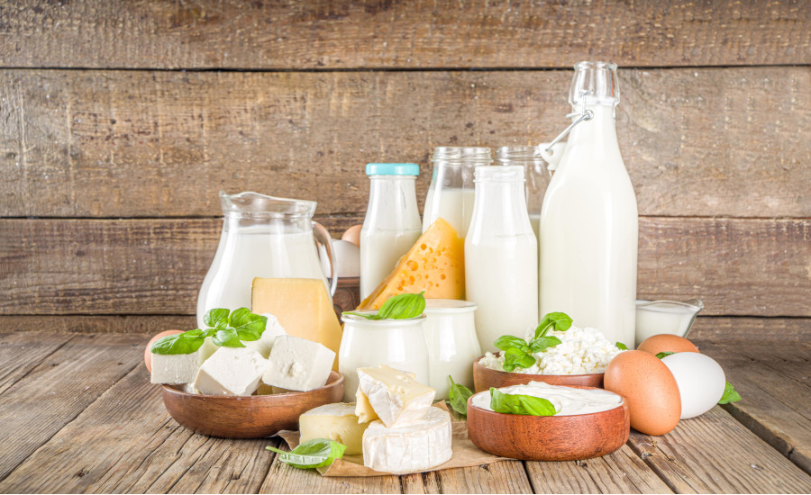Global Dairy Market Size to Grow at a CAGR of 2.7% in the Forecast Period of 2023-2028