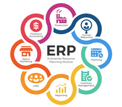 What should I learn to become an ERP software developer?