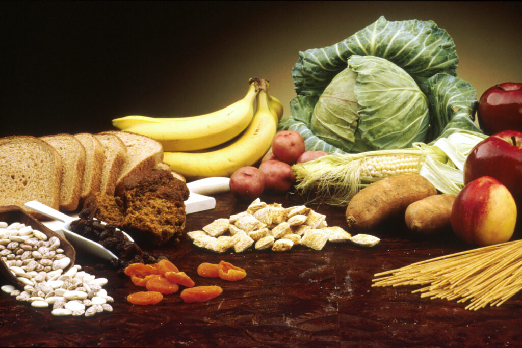 The Importance of Fiber for Gut Health and Digestion!