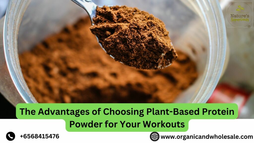 The Advantages of Choosing Plant-Based Protein Powder for Your Workouts