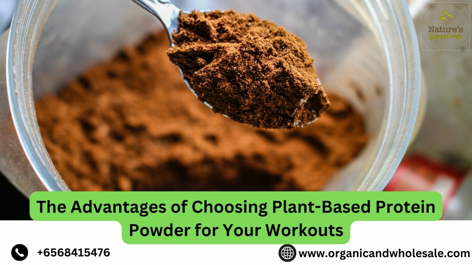 The Premium Quality Plant Based Protein Powder