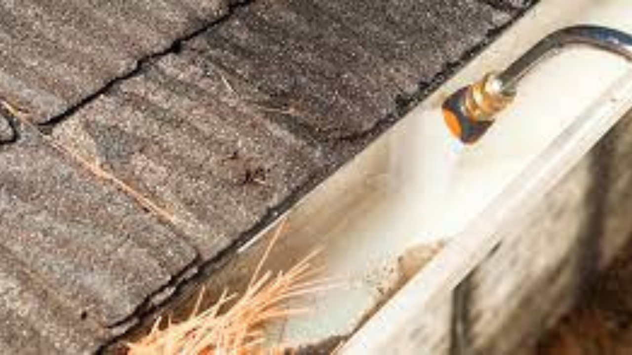 Top 10 guttercleaning companies in Brooklyn Sohago