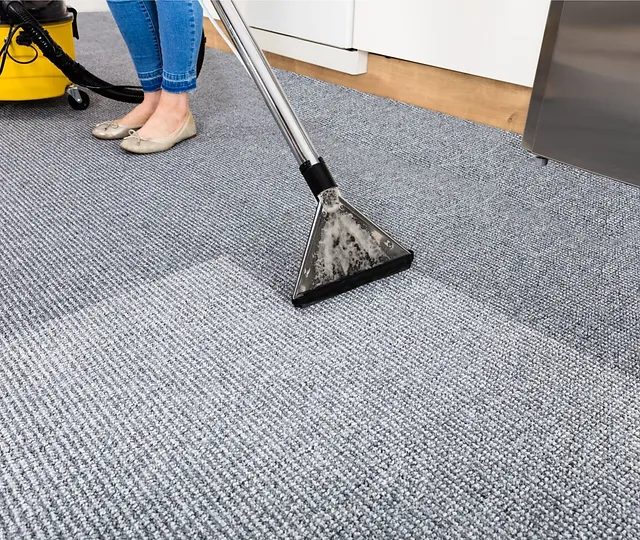 Wake Forest Carpet Cleaners: Ensuring Pristine Carpets with Professional Care