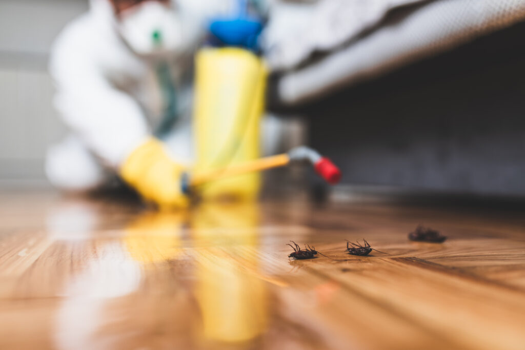 Comprehensive Guide to Cockroach Pest Control in Melbourne