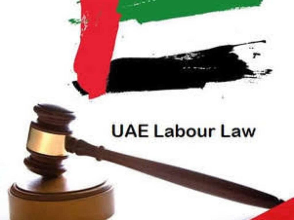 Important things about UAE labour law every job seeker must know 