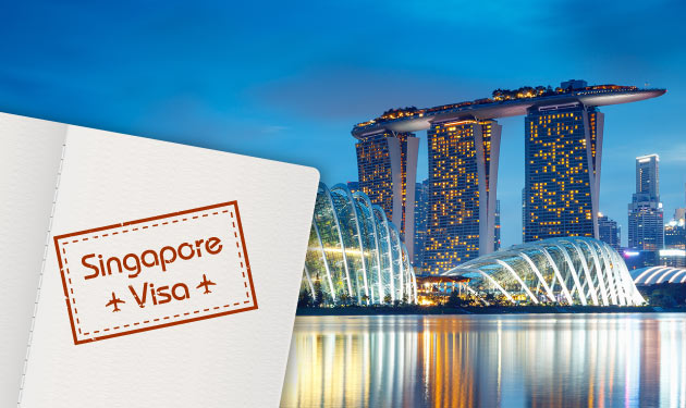 Types of Indian visas available for Singapore Citizens