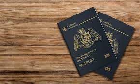 Applying for a Turkish Visa from Dominica: Step-by-Step Guide
