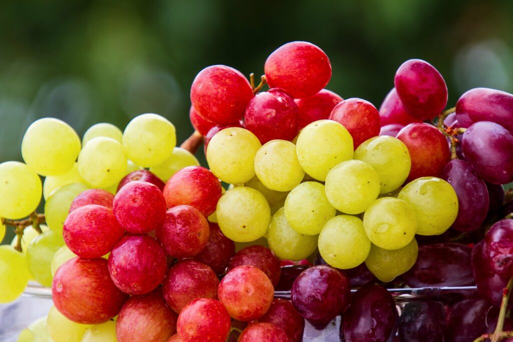 The Health Advantages Of Grapes For Men Are Numerous.
