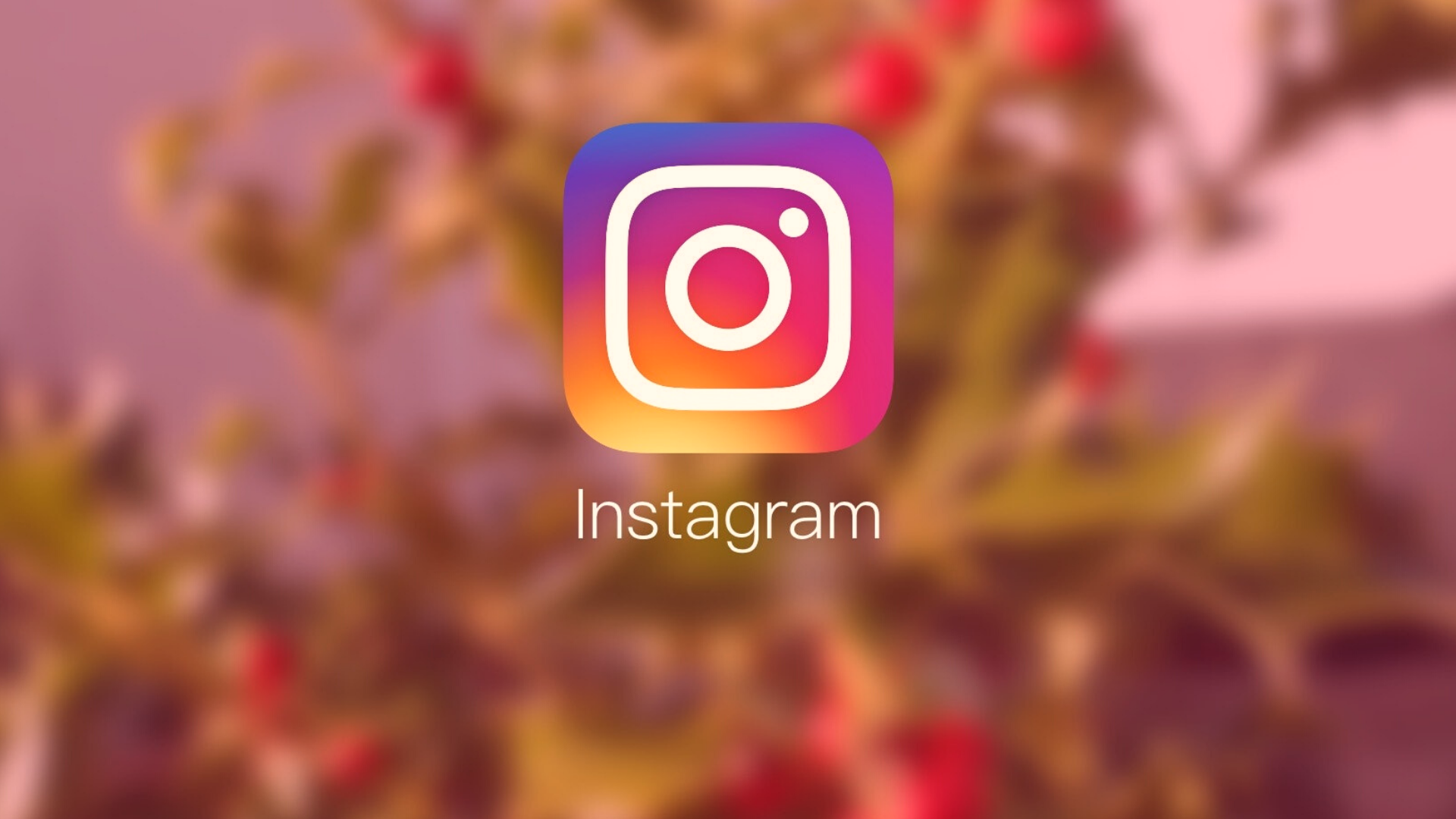 Names For Instagram Account For Business