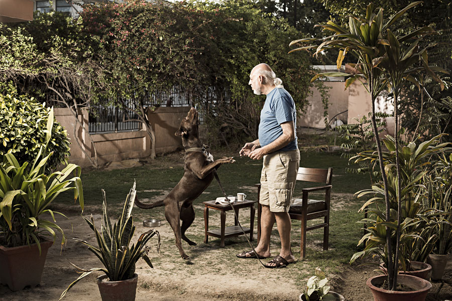 “Top Training Tips for Happy Hounds: Dubai’s Canine Specialists Share Their Secrets”