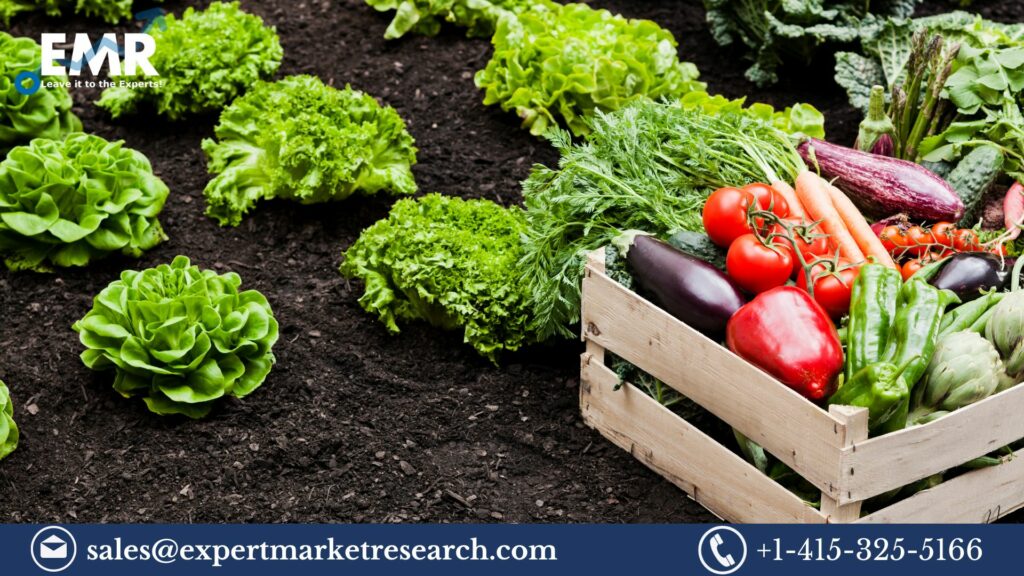Exploring the Agricultural Micronutrients Market: Growth, Challenges, and Opportunities