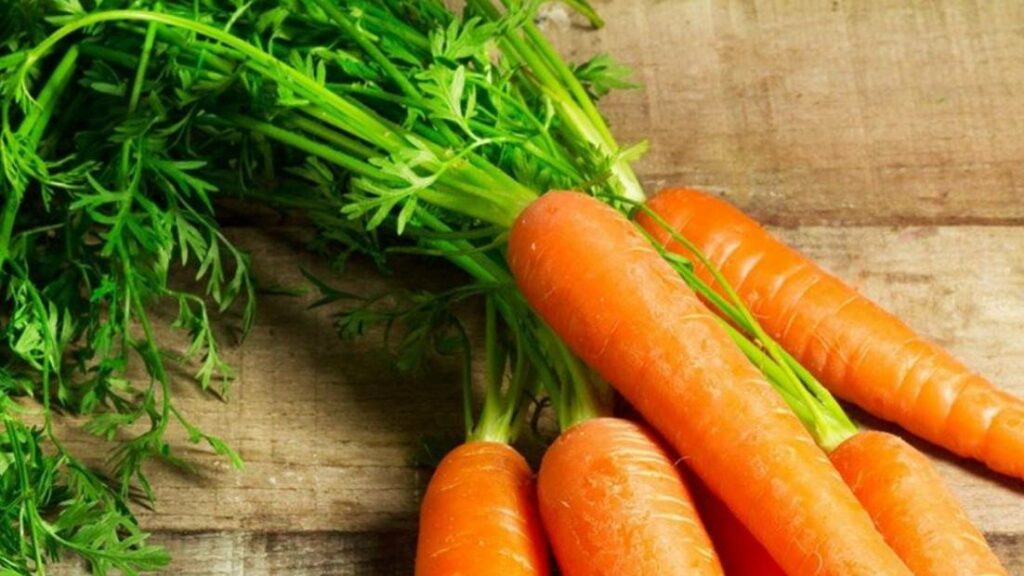 Carrot Leaves Benefits, Nutrition, And Its Side Effects