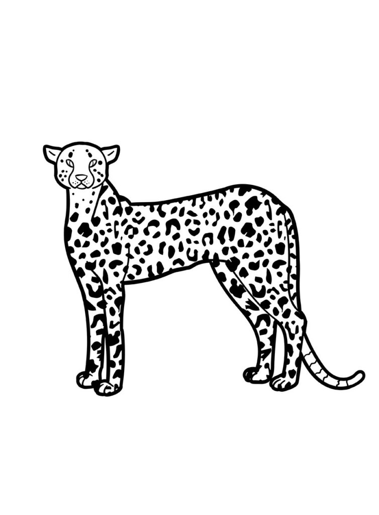 Cheetah Coloring Page