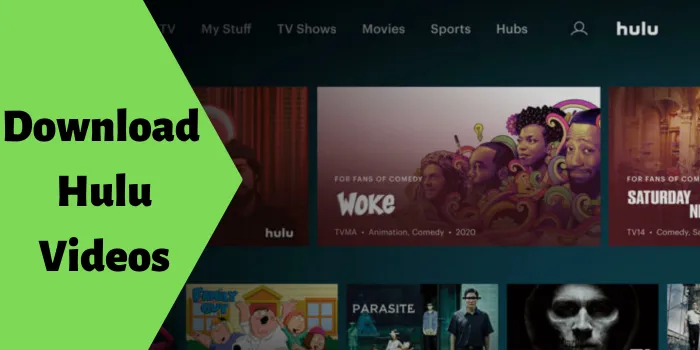 How To Download Hulu Videos?
