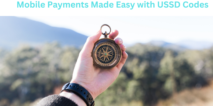 Mobile Payments Made Easy with USSD Codes
