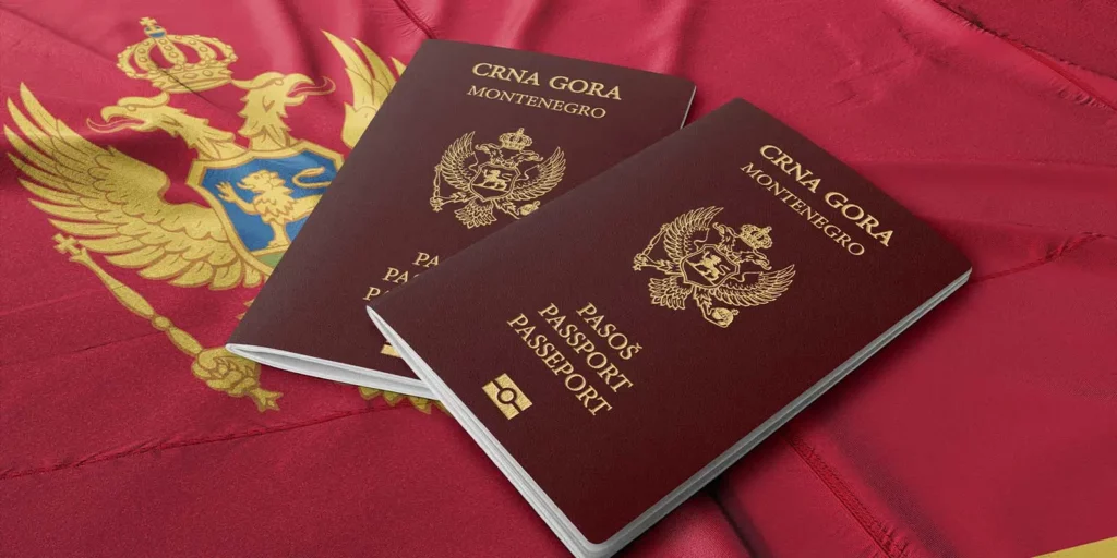 Types of Indian visas for Montenegrin citizens