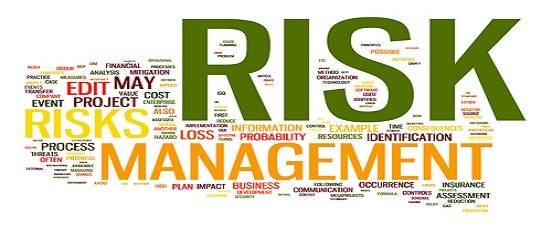 Boost your Academic score with the Risk Management Assignment Help Services