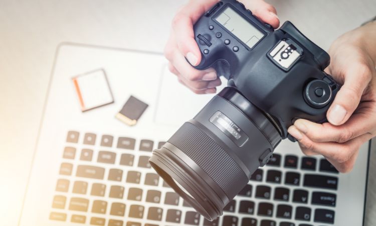 The Evolution of the Digital Camera Industry: Key Trends, Market Share, Analysis, and Segments