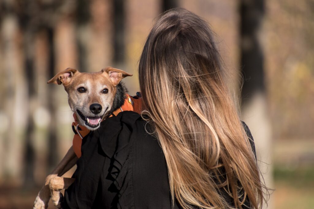 Female Dog Care Guide: Everything You Need to Know