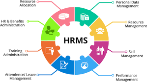 Manual to Automated: How HRMS Software Transforms HR Administration in UAE