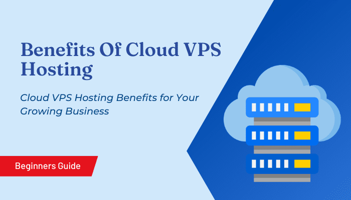 Cloud VPS Hosting Benefits for Your Growing Business