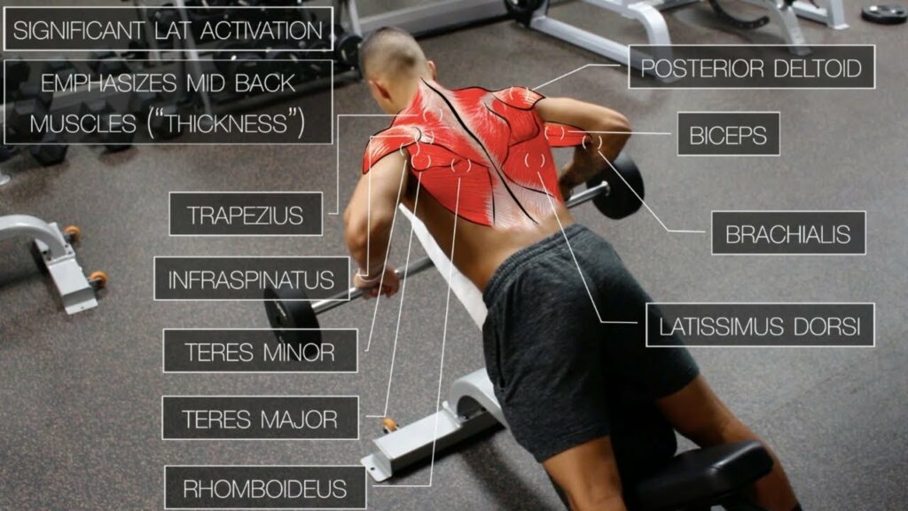 Benefits of Training Back Muscles