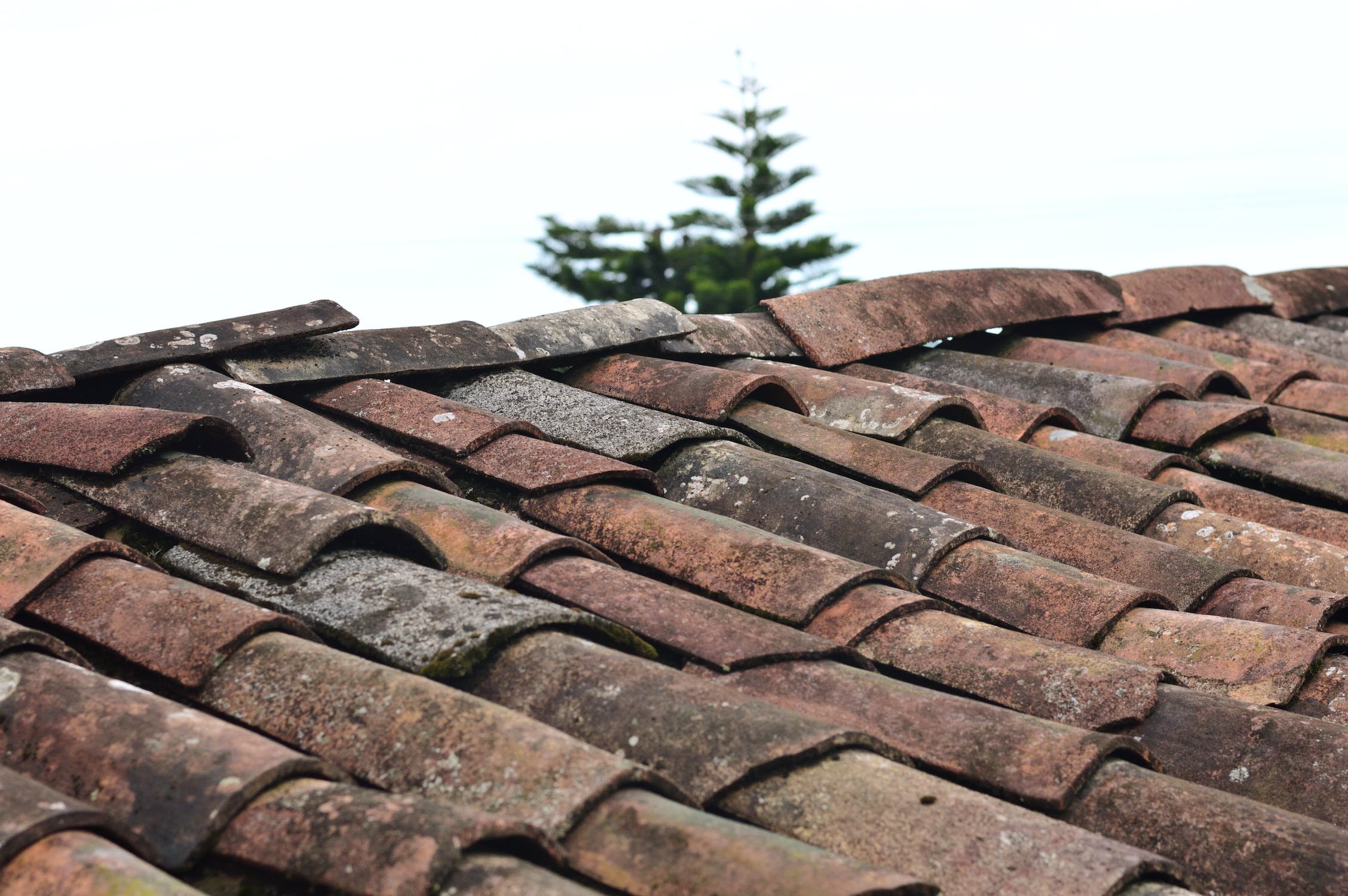 5 Reasons You Should Get a New Roof