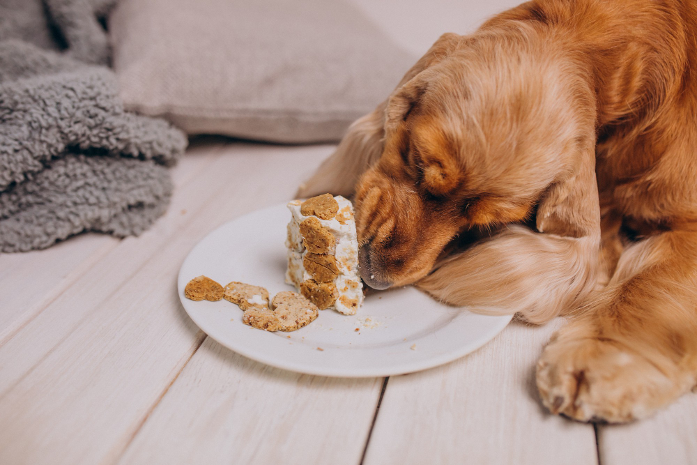 Can Dogs Eat Potato Bread? Interesting Experts Answer 2023