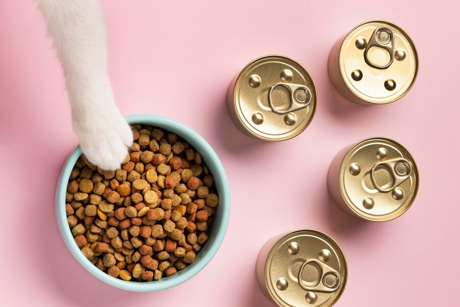 Healthy and Happy: How Weruva Cat Food Nourishes Your Pet