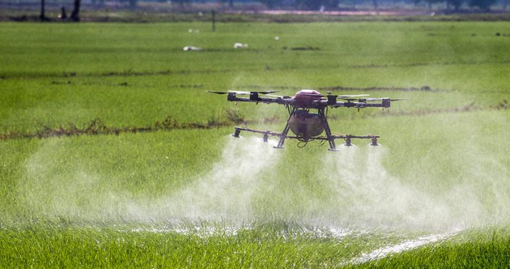 Enhancing Crop Yield: The Role of Drone Spraying in Auburn's Agriculture