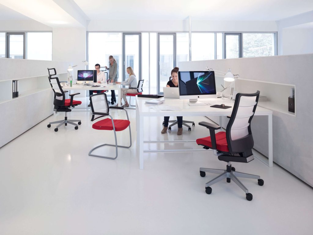 Creating an Ergonomic Office Space: The Power of Monitor Accessories